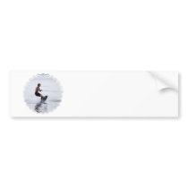 Teen Wakeboarder Bumper Sticker