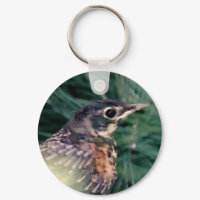Teenage Robin keychain