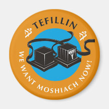 Tefillin Fridge Magnets