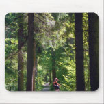 Tegernsee Trail