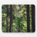 Tegernsee Trail mousepads