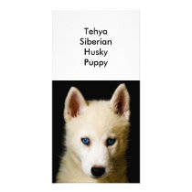 Tehya - Siberian Husky Photo Card Template