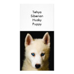 Tehya - Siberian Husky Photo Card Template