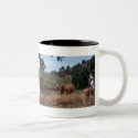 Tejon Vaquero Grizzly Roping mugs by tbarcequine Tejon Vaquero Grizzly Roping mugs