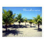 tela palms post card
