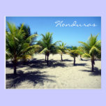 tela palms postcards