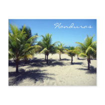 tela palms post card