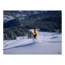 Telemark Skiier Takes Flight posters
