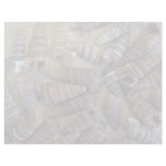 Telescope shells (Telescopium telescopium) Shell Letterhead Design