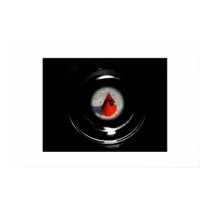 Telescoped Male Cardinal posters by redogpeters Telescoped Male Cardinal posters