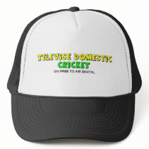 Televise Domestic Cricket Mesh Hat