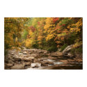 Tellico River TN  Print
