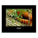 Tello posters by Lindsay_Demeter Tello posters