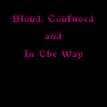 Telluride Poor Person - Blond and Confused t-shirts