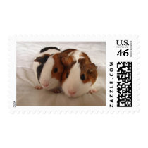 Telmha & louise postage