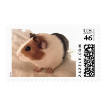 Telmha postage