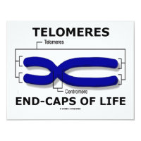 Telomeres End-Caps Of Life (Biology Humor) 4.25x5.5 Paper Invitation Card