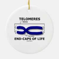 Telomeres End-Caps Of Life (Biology Humor) Double-Sided Ceramic Round Christmas Ornament