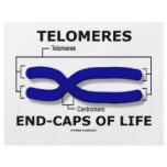 Telomeres End-Caps Of Life (Biology Humor) flyers