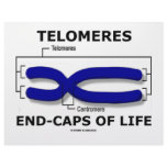 Telomeres End-Caps Of Life (Biology Humor) Letterhead Design
