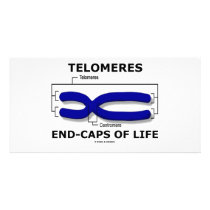Telomeres End-Caps Of Life (Biology Humor) photo cards