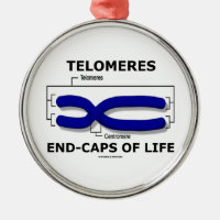 Telomeres End-Caps Of Life (Biology Humor) Round Metal Christmas Ornament