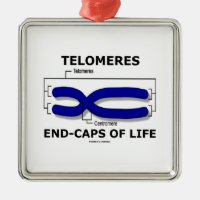 Telomeres End-Caps Of Life (Biology Humor) Square Metal Christmas Ornament
