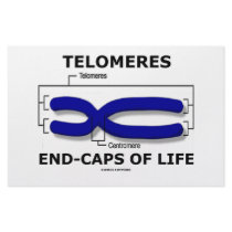 Telomeres End-Caps Of Life (Biology Humor) stationery