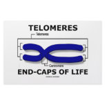 Telomeres End-Caps Of Life (Biology Humor) Stationery Design