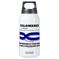 Telomeres Responsible For Aging At Cellular Level 10 Oz Insulated SIGG Thermos Water Bottle