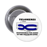Telomeres Responsible For Aging At Cellular Level 2 Inch Round Button