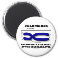 Telomeres Responsible For Aging At Cellular Level 2 Inch Round Magnet