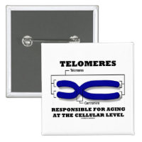 Telomeres Responsible For Aging At Cellular Level 2 Inch Square Button