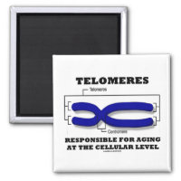 Telomeres Responsible For Aging At Cellular Level 2 Inch Square Magnet