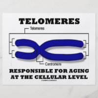 Telomeres Responsible For Aging At Cellular Level 8.5