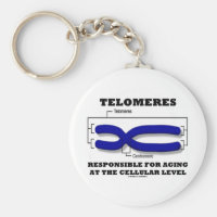 Telomeres Responsible For Aging At Cellular Level Basic Round Button Keychain
