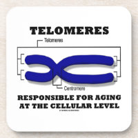 Telomeres Responsible For Aging At Cellular Level Beverage Coasters