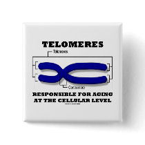 Telomeres Responsible For Aging At Cellular Level buttons
