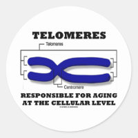 Telomeres Responsible For Aging At Cellular Level Classic Round Sticker