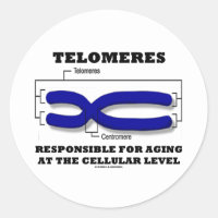 Telomeres Responsible For Aging At Cellular Level Classic Round Sticker
