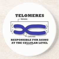 Telomeres Responsible For Aging At Cellular Level Coaster