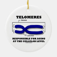 Telomeres Responsible For Aging At Cellular Level Double-Sided Ceramic Round Christmas Ornament