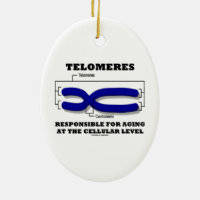 Telomeres Responsible For Aging At Cellular Level Double-Sided Oval Ceramic Christmas Ornament