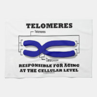 Telomeres Responsible For Aging At Cellular Level Kitchen Towels