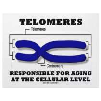 Telomeres Responsible For Aging At Cellular Level letterhead