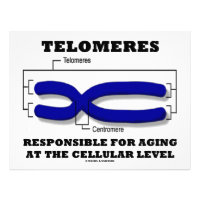 Telomeres Responsible For Aging At Cellular Level Letterhead