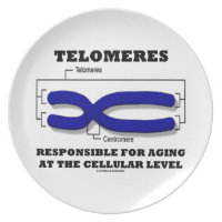 Telomeres Responsible For Aging At Cellular Level Party Plate