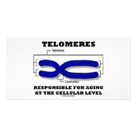 Telomeres Responsible For Aging At Cellular Level Photo Card