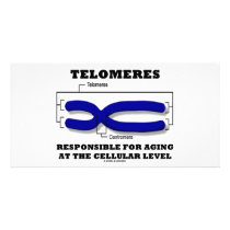 Telomeres Responsible For Aging At Cellular Level photo cards