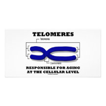 Telomeres Responsible For Aging At Cellular Level Personalized Photo Card